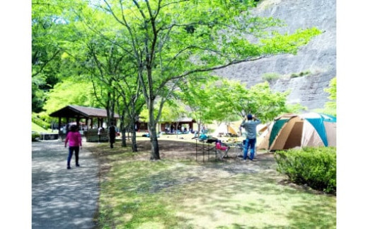 【返礼品なし】栃木県足利市応援寄附金（2,000円単位でご寄附いただけます） F7Z-0000