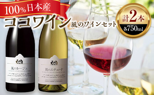 ココワイン/風のワインセット【 ワイン お酒 栃木県 足利市 】 F7Z-008
