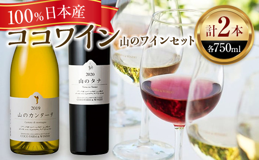ココワイン/山のワインセット【 ワイン お酒 栃木県 足利市 】 F7Z-010