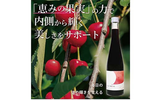濃縮タルトチェリー500ml瓶　(3倍希釈タイプ)【 ギフト プレゼント お中元 お歳暮 贈答品 栃木県 足利市 】 F7Z-1369