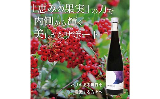 濃縮サンザシ500ml瓶 (3倍希釈タイプ)【 ギフト プレゼント お中元 お歳暮 贈答品 栃木県 足利市 】 F7Z-1370