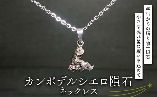カンポデルシエロ隕石のネックレス F7Z-1327