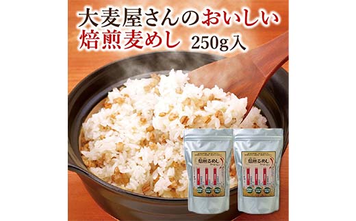 おいしい焙煎麦めし 250g×2 栃木県 足利市 F7Z-1365