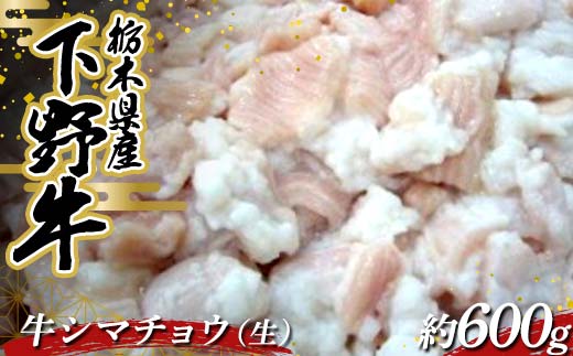 栃木県産 厳選下野牛！ 牛シマチョウ（生）約600g 国産 ブランド牛 牛肉 肉 焼肉 BBQ バーベキュー 食品 冷凍 贈答 贈り物 ギフト プレゼント 自宅 家庭 栃木県 足利市 F7Z-1599