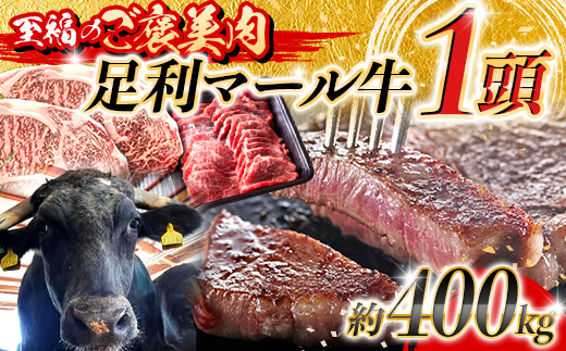 【至福のご褒美肉】足利マール牛1頭！　約400kg F7Z-1651