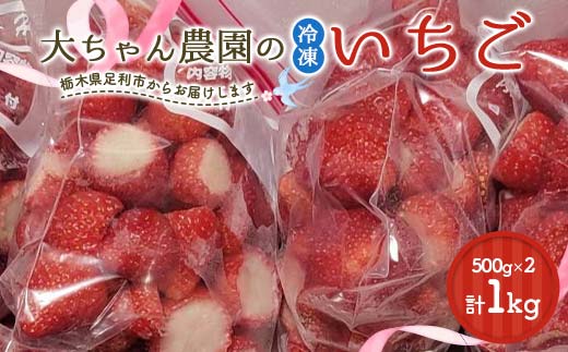 栃木のブランドとちあいか 大ちゃん農園の冷凍いちご1kg(500g×2袋) いちご イチゴ 苺 デザート フルーツ 果物 くだもの 果実 食品 F7Z-1716