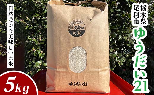 令和7年産 新米 栃木県足利市産 ゆうだい21 5kg 精米 白米 米 こめ ごはん 食品 栃木県 足利市 F7Z-1810