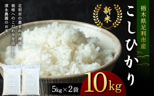令和7年産 新米 栃木県足利市産 コシヒカリ10kg〈5kg×2袋〉 精米 白米 米 こめ ごはん 食品 栃木県 足利市  F7Z-1814
