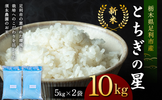 令和7年産 新米 栃木県足利市産とちぎの星10kg〈5kg×2袋〉 精米 白米 米 こめ ごはん 食品 栃木県 足利市  F7Z-1816