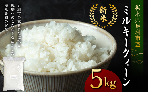 令和7年産 新米 栃木県足利市産ミルキークィーン5kg 精米 白米 米 こめ ごはん 食品 栃木県 足利市  F7Z-1819