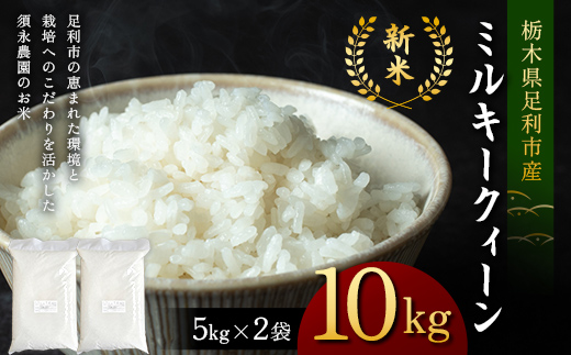 令和7年産 新米 栃木県足利市産ミルキークィーン10kg〈5kg×2袋〉 精米 白米 米 こめ ごはん 食品 栃木県 足利市  F7Z-1820