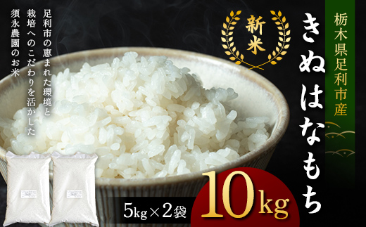 令和7年産 もち米 栃木県足利市産 きぬはなもち10kg〈5kg×2袋〉 もち米 餅 米 こめ  食品 栃木県 足利市  F7Z-1822
