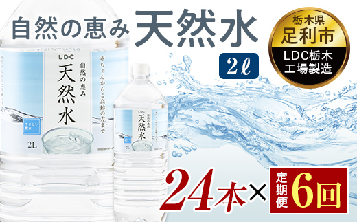 【6回定期便】 水 ミネラルウォーター 天然水 2L 24本 お水 飲料水 軟水で飲みやすい 備蓄品としてもオススメ F7Z-430