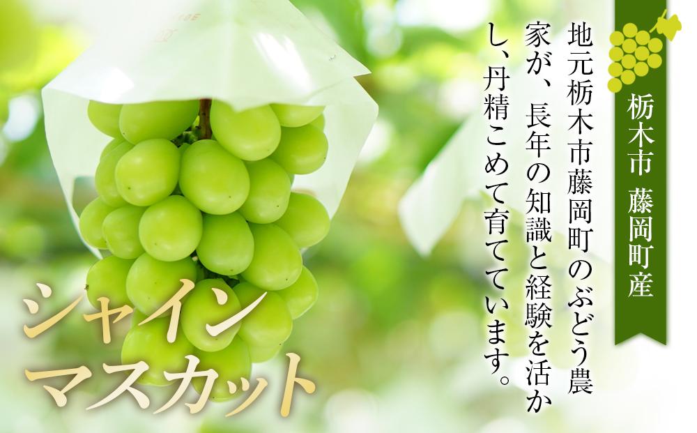 ぶどう シャインマスカット 栃木市藤岡町産 計2kg【フルーツ 果物 くだもの 食品 人気 おすすめ 】