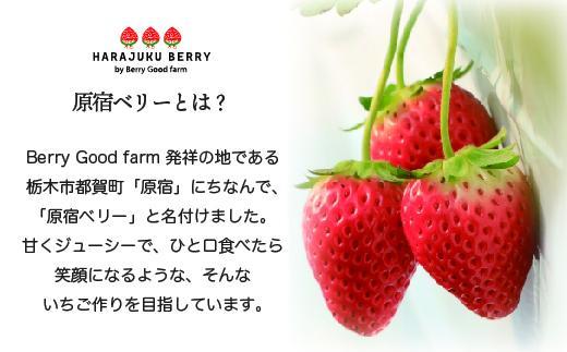 【先行予約受付】≪2026年2月発送≫原宿ベリーの「大粒いちご」【フルーツ 果物 くだもの 食品 人気 おすすめ 】