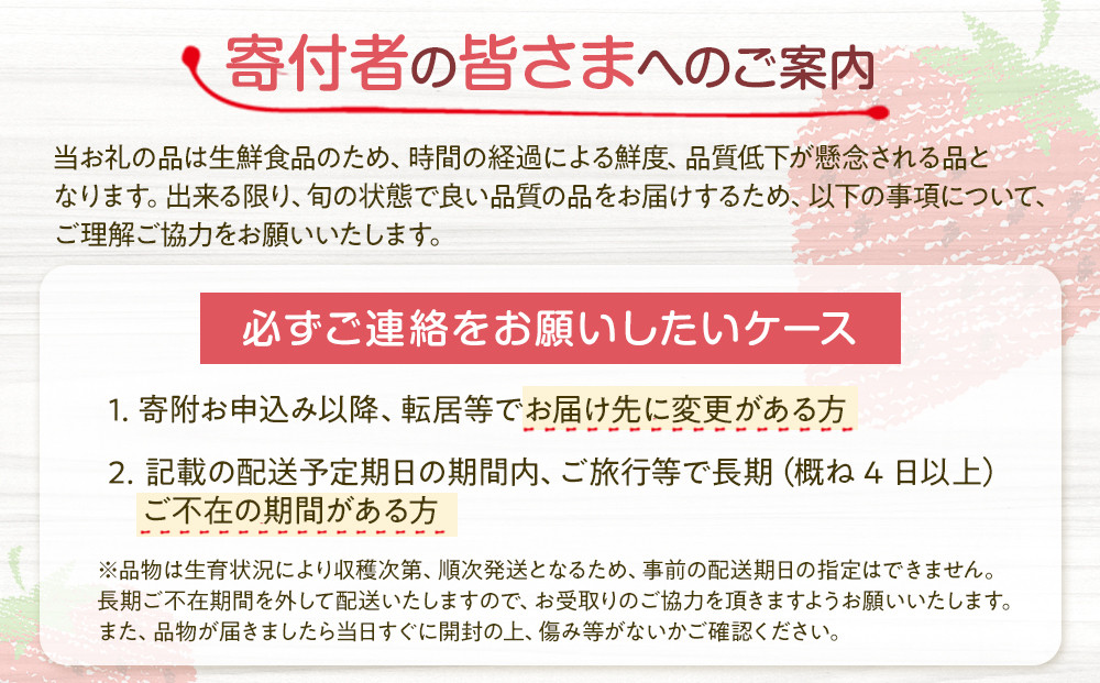 【先行予約受付】≪2026年2月発送≫【数量限定！】「完熟 朝摘み」原宿ベリー  約250g×2パック | いちご イチゴ 栃木【フルーツ 果物 くだもの 食品 人気 おすすめ 】