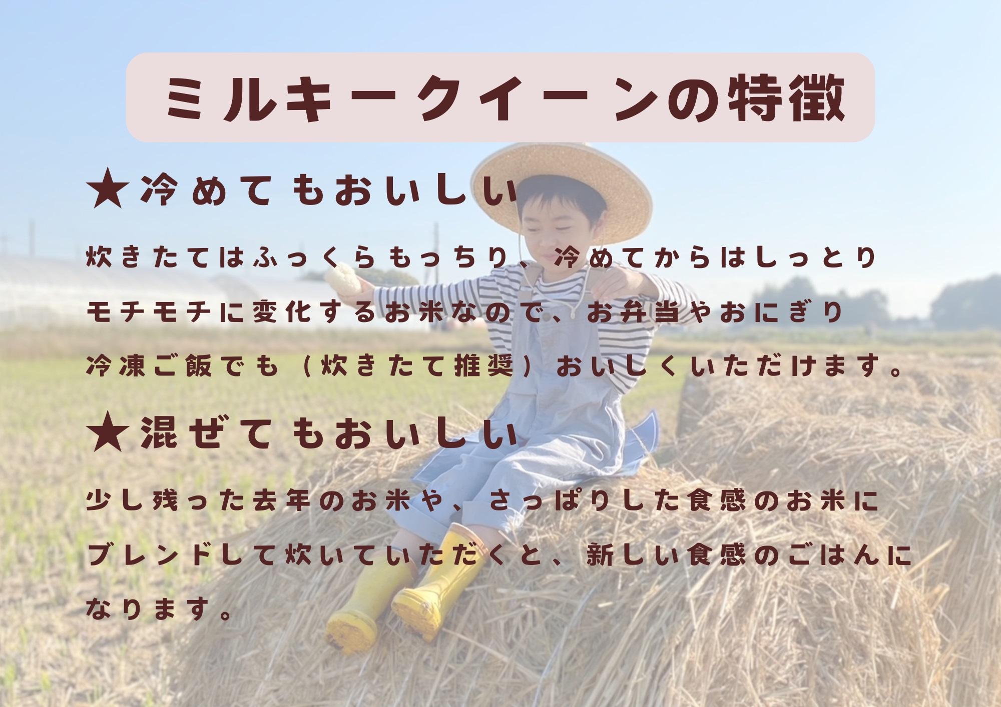 【令和7年産】栃木市岩舟町産ミルキークイーン10kg【精米】米　新米　ミルキー　農家直送　産地直送　