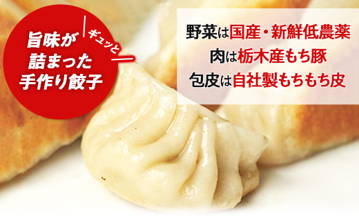 栃木産こだわり手作りもち豚餃子 | 食品 冷凍食品 惣菜 餃子 手作り 国産【食品 加工食品 人気 おすすめ 】