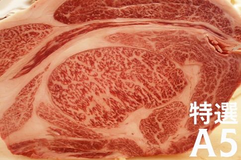 とちぎ産贅沢焼肉セット【肉 お肉 にく 食品 人気 おすすめ  ギフト】