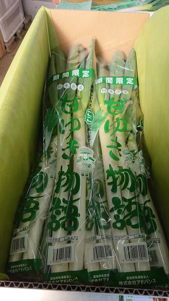 甘ゆき物語3kg【野菜 やさい 食品 人気 おすすめ 】