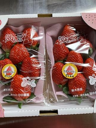 【2025年12月下旬～発送】「口いっぱいに溢れる甘い果汁 谷中農園の スカイベリー 」いちご【約280g×2パック】| 果物 フルーツ いちご 栃木 ブランド 栃木県【フルーツ 果物 くだもの 食品 人気 おすすめ 】