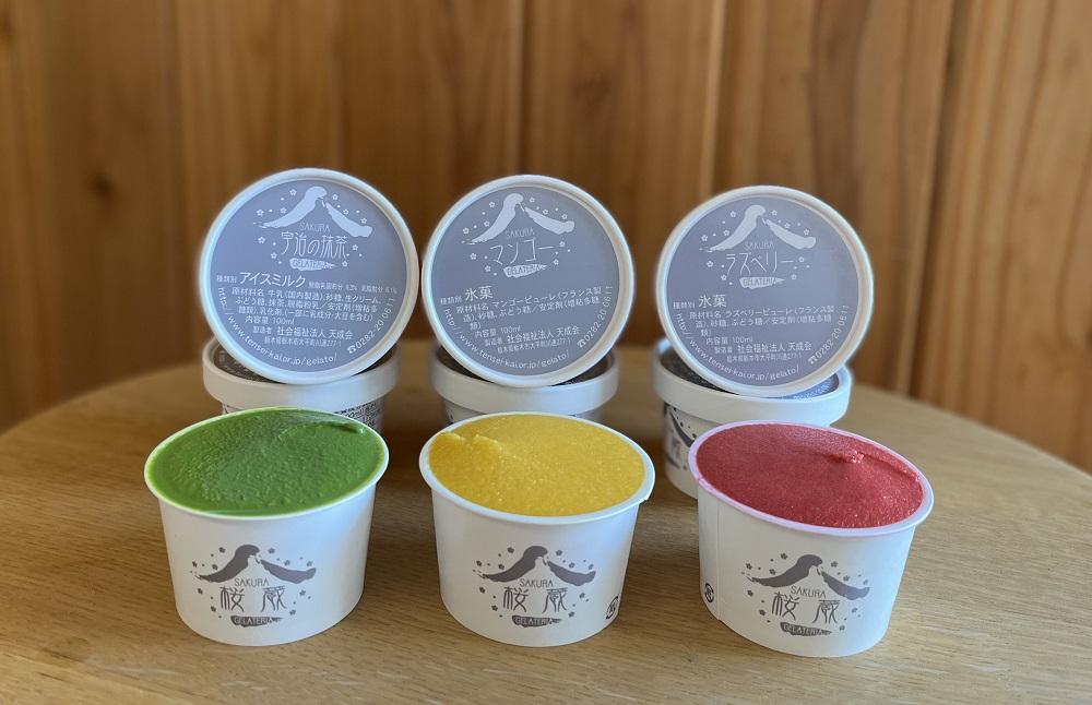 農園直営イタリアジェラートの１２個セット【菓子 おかし スイーツ デザート 食品 人気 おすすめ 】