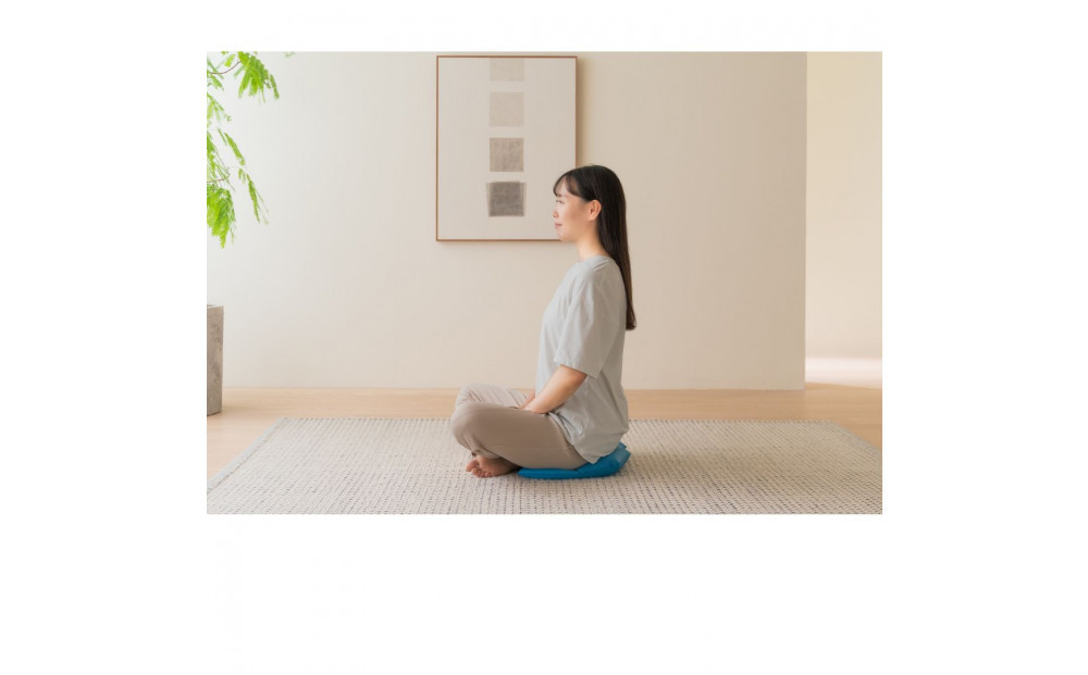 整体師監修 骨盤 クッション スイッチャー (腰ケア 骨盤ケア 腰サポート オフィスチェア）