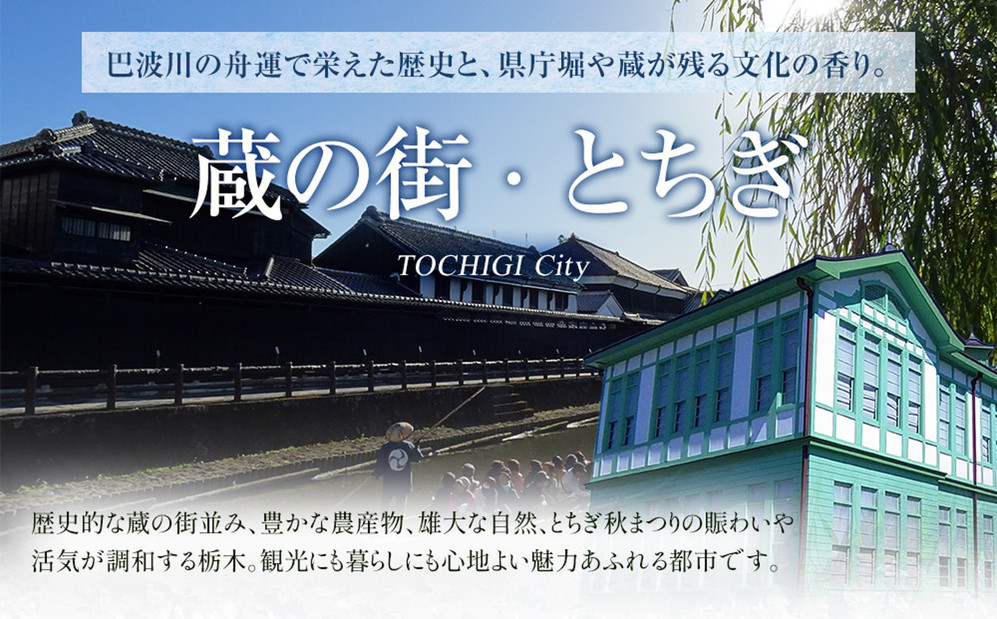 はるオンパックスミニ ４８０枚（３０枚入×１６箱）１ケース ｜ カイロ 防寒 暖 エステー 日用品