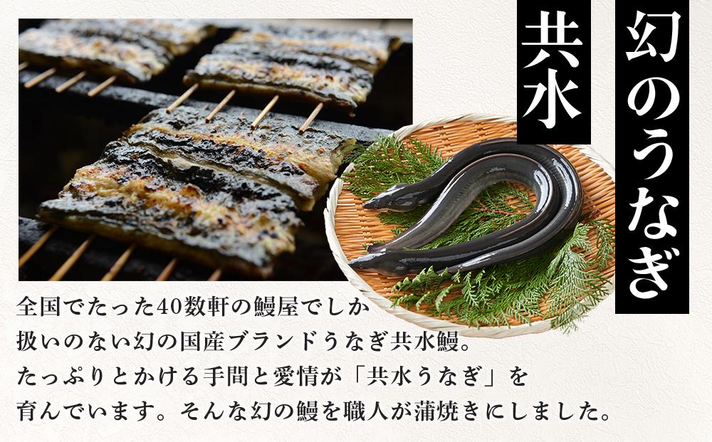 幻の国産ブランド鰻　共水うなぎのかば焼き　3串（約115g×3）タレ・山椒付き　極上の甘みとうまみ、ふっくらとした食感【鰻 魚介類 水産 食品 人気 おすすめ 】