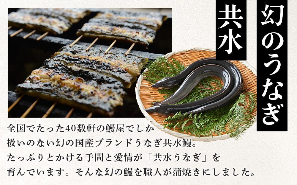 幻の国産ブランド鰻　共水うなぎのかば焼き　1串（約115g）タレ・山椒付き　極上の甘みとうまみ、ふっくらとした食感【鰻 魚介類 水産 食品 人気 おすすめ 】