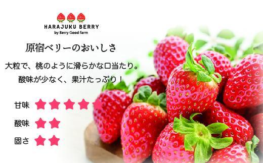 【先行予約受付】≪2026年2月発送≫原宿ベリーの「大粒いちご」【フルーツ 果物 くだもの 食品 人気 おすすめ 】