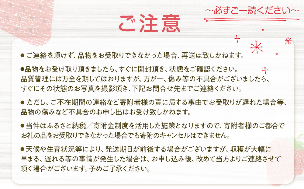 【先行予約受付】≪2026年2月発送≫【数量限定！】「完熟 朝摘み」原宿ベリー  約250g×2パック | いちご イチゴ 栃木【フルーツ 果物 くだもの 食品 人気 おすすめ 】