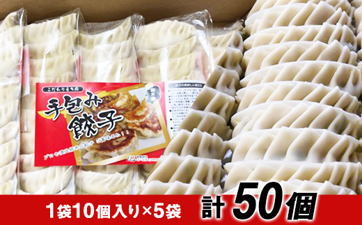 栃木産こだわり手作りもち豚餃子 | 食品 冷凍食品 惣菜 餃子 手作り 国産【食品 加工食品 人気 おすすめ 】