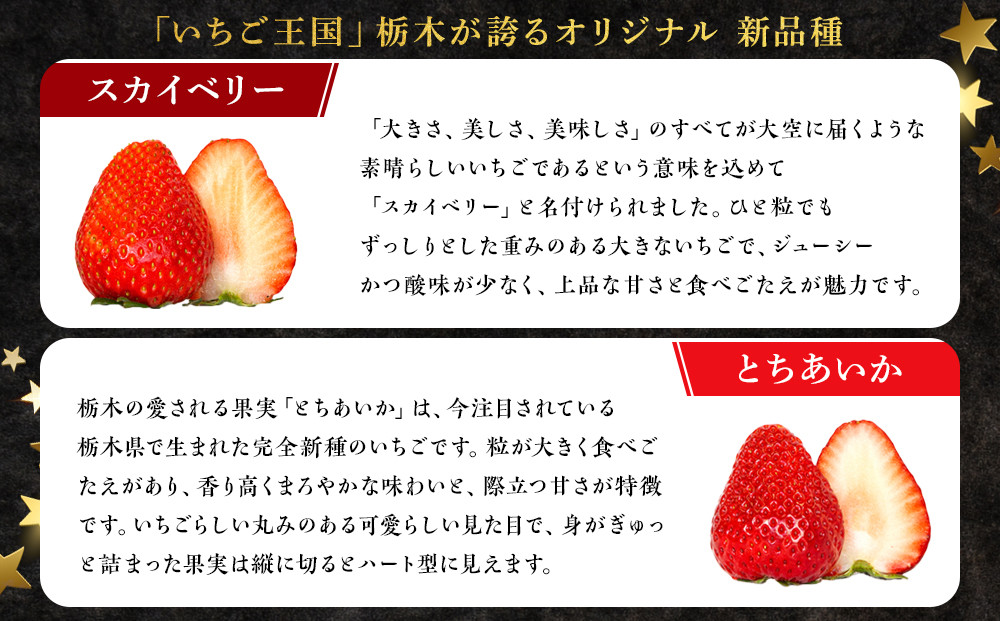 甘くて大きい！長谷川いちご園 スカイベリー ＆ とちあいか セット 計4パック | 果物 フルーツ いちご 栃木 ブランド 栃木県【フルーツ 果物 くだもの 食品 人気 おすすめ 】