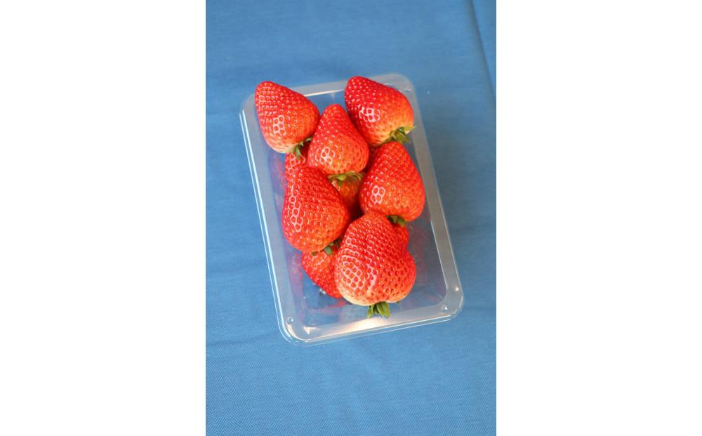 【2026年2月以降発送】JAしもつけ栃木市産とちあいか　260ｇ×４パック【フルーツ 果物 くだもの 食品 人気 おすすめ 】