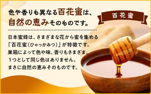 日本蜜蜂のハチミツ100％！はちみつ（逆さ容器300ｇ2本）  高級 自然食品 無添加 ニホンミツバチ