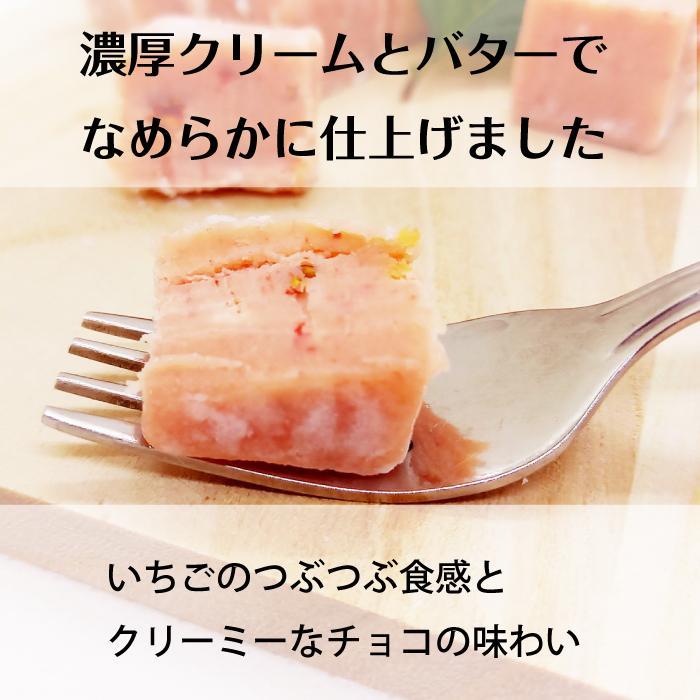  【ふるさと納税】 とちおとめ 生チョコレート（16粒入り） 栃木 とちぎ産 いちご イチゴ 苺 スイーツ 通販 お取り寄せ