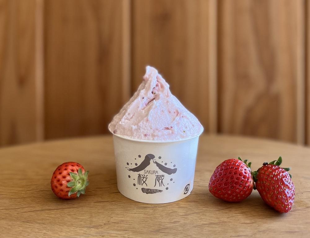 農園直営イタリアジェラートの８個セット【菓子 おかし スイーツ デザート 食品 人気 おすすめ 】