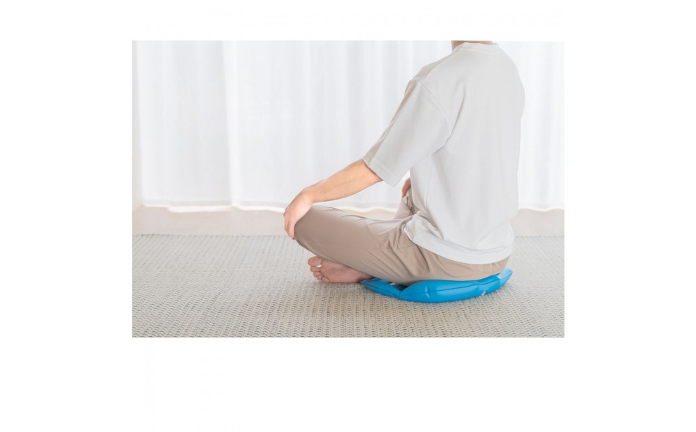 整体師監修 骨盤 クッション スイッチャー (腰ケア 骨盤ケア 腰サポート オフィスチェア）