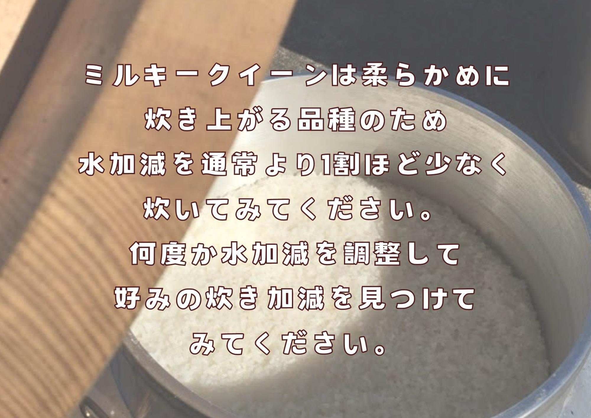 【令和7年産】栃木市岩舟町産ミルキークイーン5kg【精米】米　新米　ミルキー　農家直送　産地直送