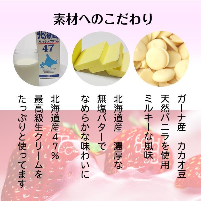  【ふるさと納税】 とちおとめ 生チョコレート（16粒入り） 栃木 とちぎ産 いちご イチゴ 苺 スイーツ 通販 お取り寄せ