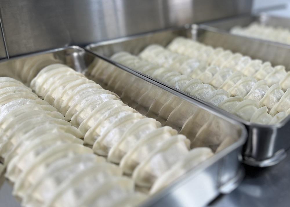 ガツンとニンニク肉ぎょうざ５０個入り【食品 加工食品 人気 おすすめ 】