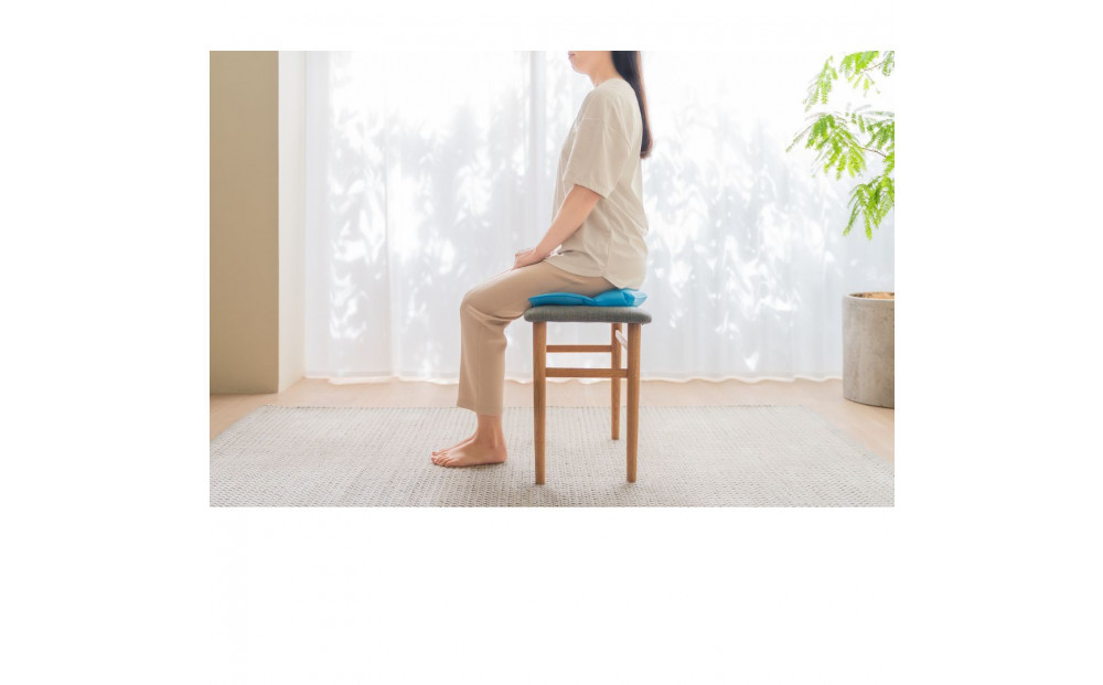 整体師監修 骨盤 クッション スイッチャー (腰ケア 骨盤ケア 腰サポート オフィスチェア）