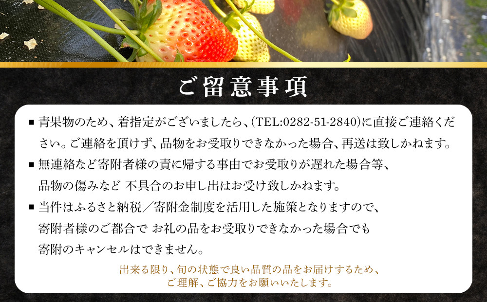 甘くて大きい！長谷川いちご園 スカイベリー ＆ とちあいか セット 計4パック | 果物 フルーツ いちご 栃木 ブランド 栃木県【フルーツ 果物 くだもの 食品 人気 おすすめ 】