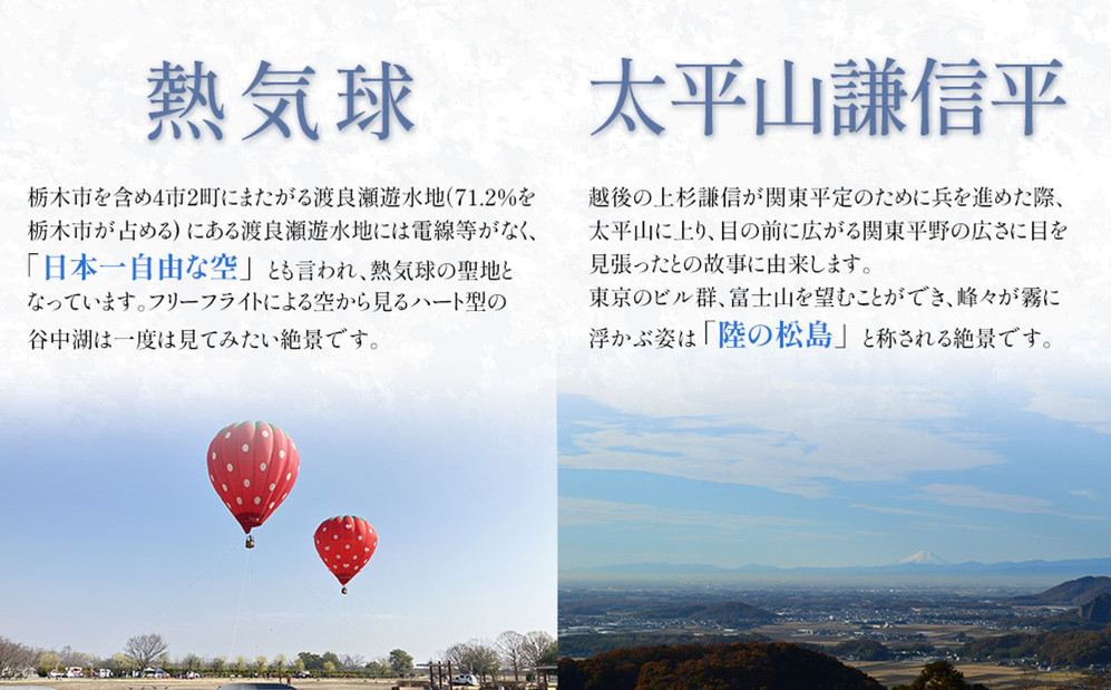 はるオンパックスミニ ４８０枚（３０枚入×１６箱）１ケース ｜ カイロ 防寒 暖 エステー 日用品