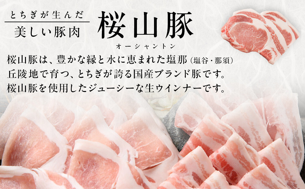 桜山豚生ソーセージセット