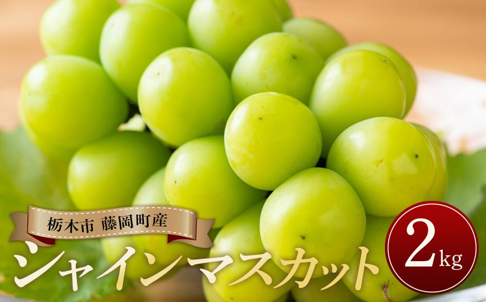 ぶどう シャインマスカット 栃木市藤岡町産 計2kg【フルーツ 果物 くだもの 食品 人気 おすすめ 】