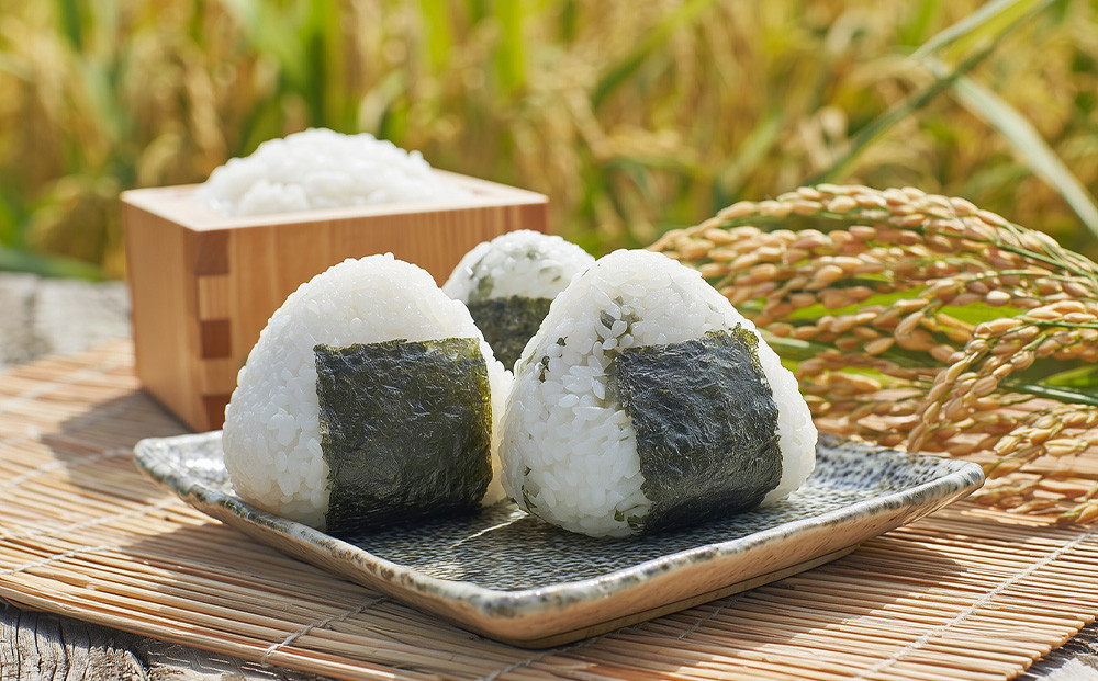 新米 食べ比べ 3種（各1Kg袋、合計3Kg)