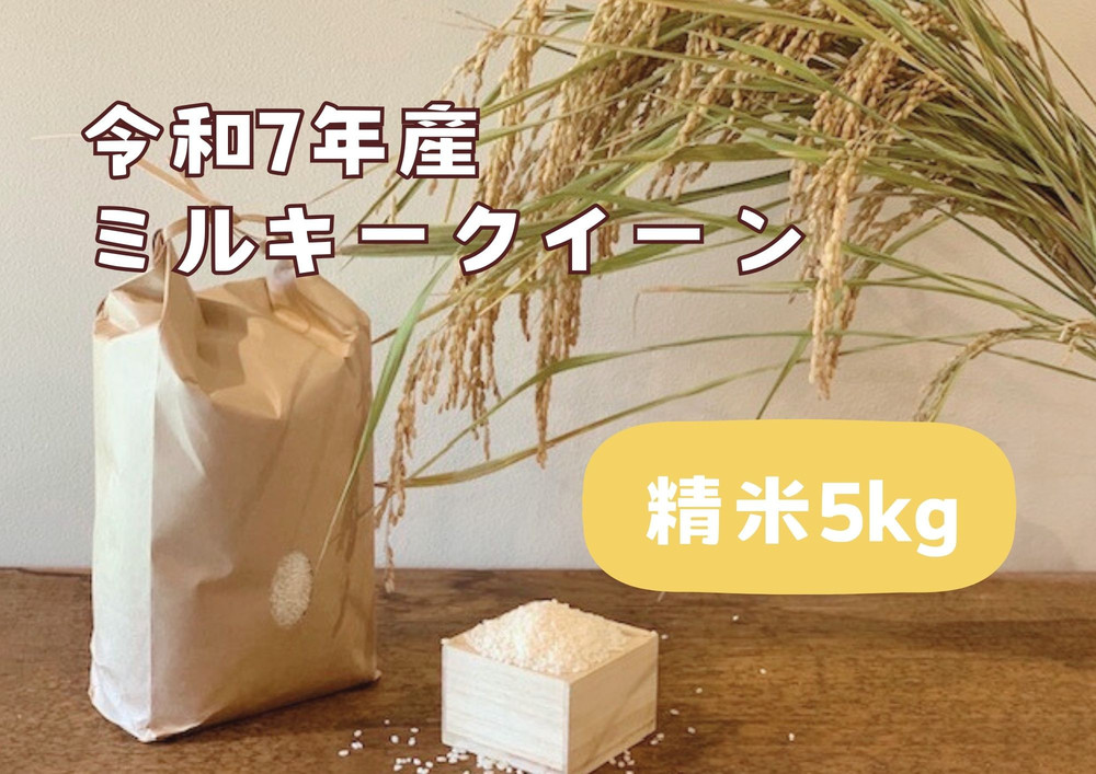 【令和7年産】栃木市岩舟町産ミルキークイーン5kg【精米】米　新米　ミルキー　農家直送　産地直送