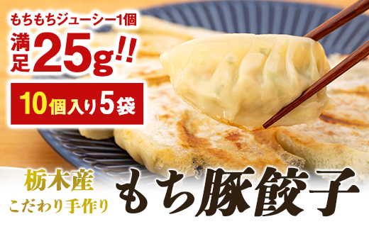 栃木産こだわり手作りもち豚餃子 | 食品 冷凍食品 惣菜 餃子 手作り 国産【食品 加工食品 人気 おすすめ 】